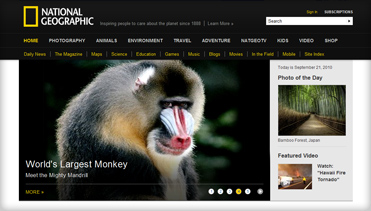 云呼死你轰炸免费网页平台